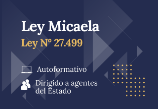 Placa Ley Micaela